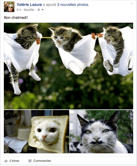 Amis FB_Folle chats 2